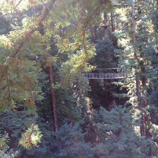 Mount Hermon Redwood Canopy Tours - Other Great Outdoors ...