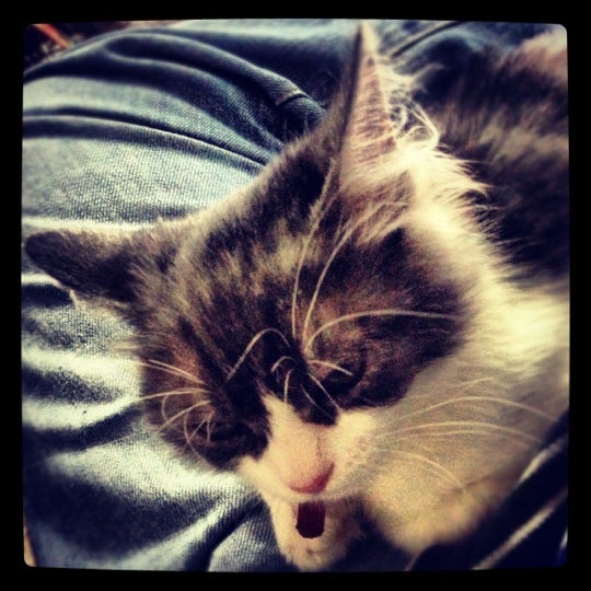 Veterinaria Lacram Veterinarian in San Bernardino