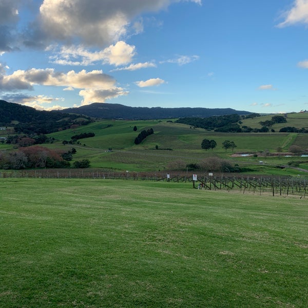 Crooked River Wines 11 Willowvale Rd