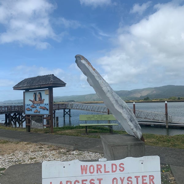 Worlds outlet largest oyster