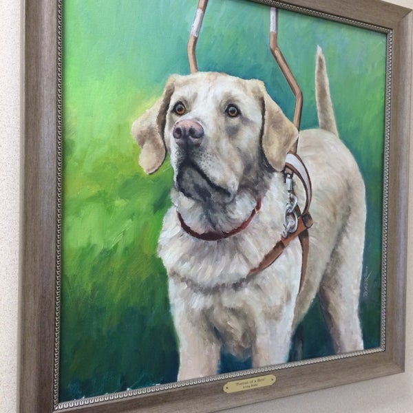 Guide Dog Foundation Smithtown, NY