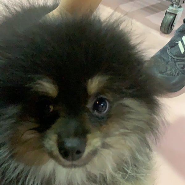 10/9/2020 tarihinde S.A ..ziyaretçi tarafından Joon Veterinary Clinic &amp; Pet Shop'de çekilen fotoğraf