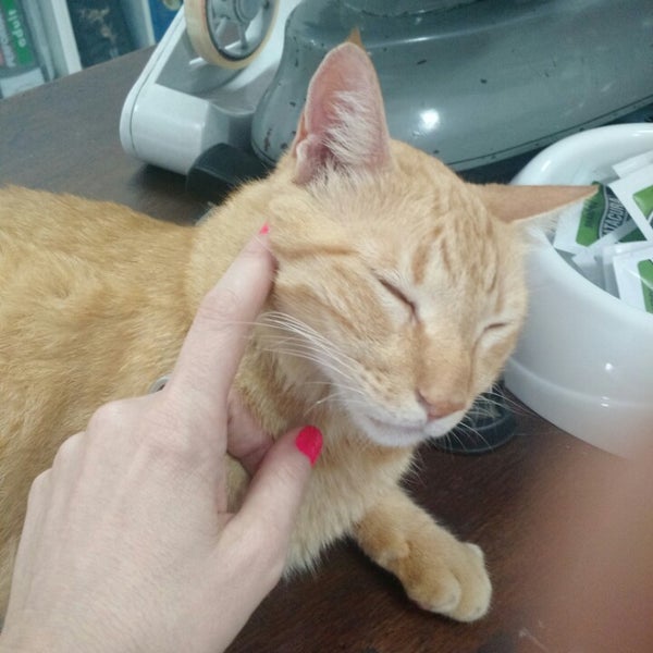 paraiso pets & supplies