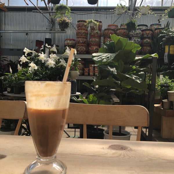 Zocalo McCauley Edmonton, AB