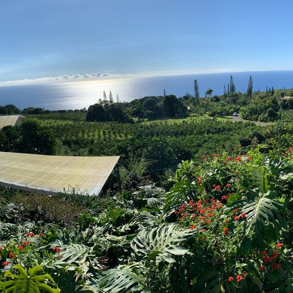 Снимок сделан в Heavenly Hawaiian Farms пользователем Brynk 9/30/2021