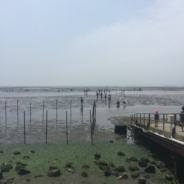 金田海岸潮干狩場 木更津市 木更津市 千葉県