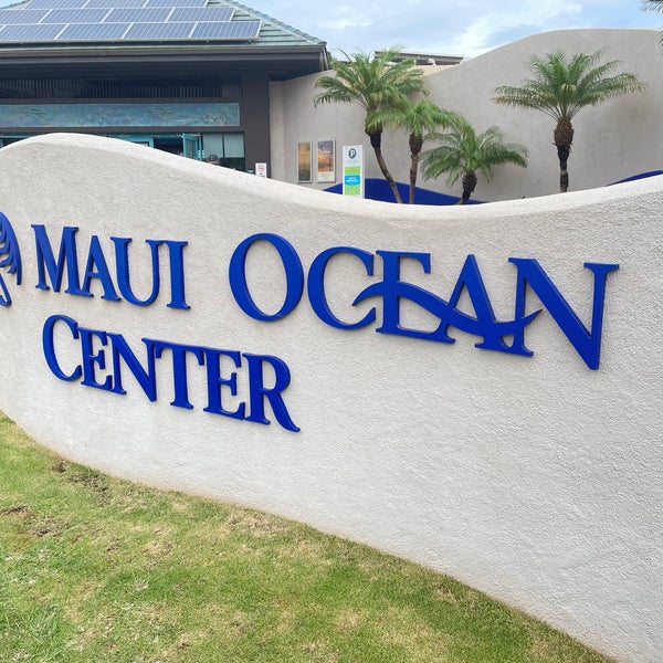 Снимок сделан в Maui Ocean Center, The Hawaiian Aquarium пользователем Betsy F. 12/7/2021