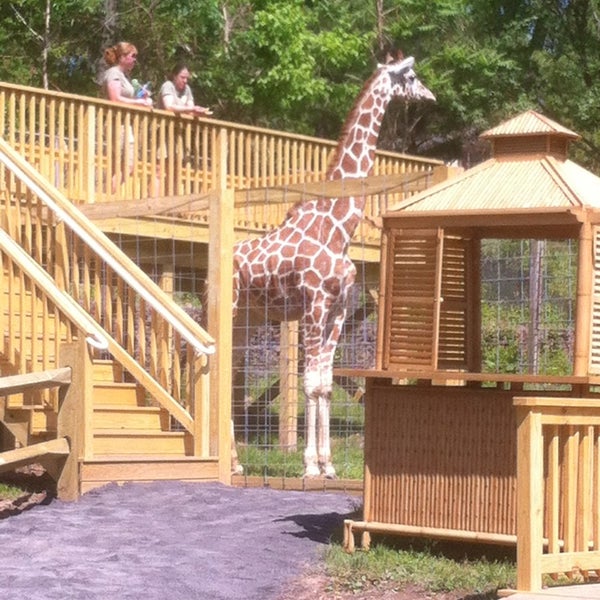 Foto diambil di Elmwood Park Zoo oleh ❦ Desiree ❦ pada 5/25/2013