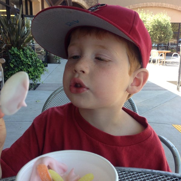 Big Spoon Yogurt Fair Oaks, CA