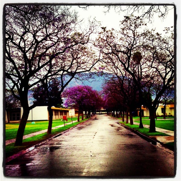 Fotos en Centro Escolar Benemérito de
