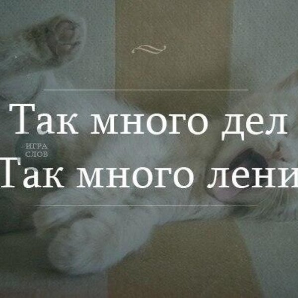 Так много до. Парней так много холостых. Денежки закончились картинки прикольные. Так много вопросов. Эякулировала.