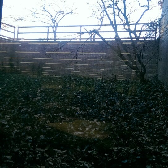 Photos at Hicks Undergraduate Library (HIKS) College Library