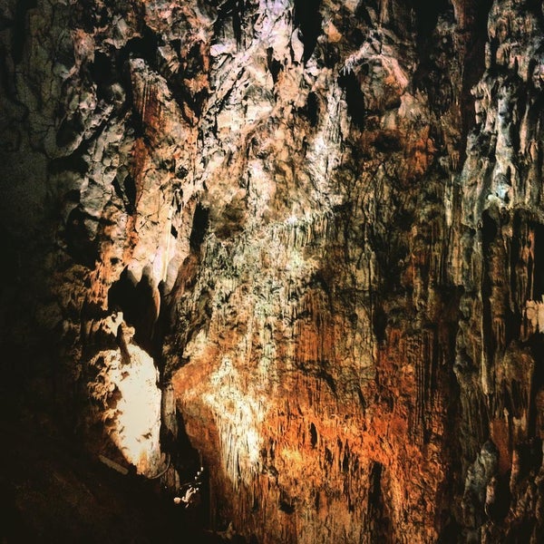 Photo taken at Grotta Gigante by Isabella T. on 8/15/2015