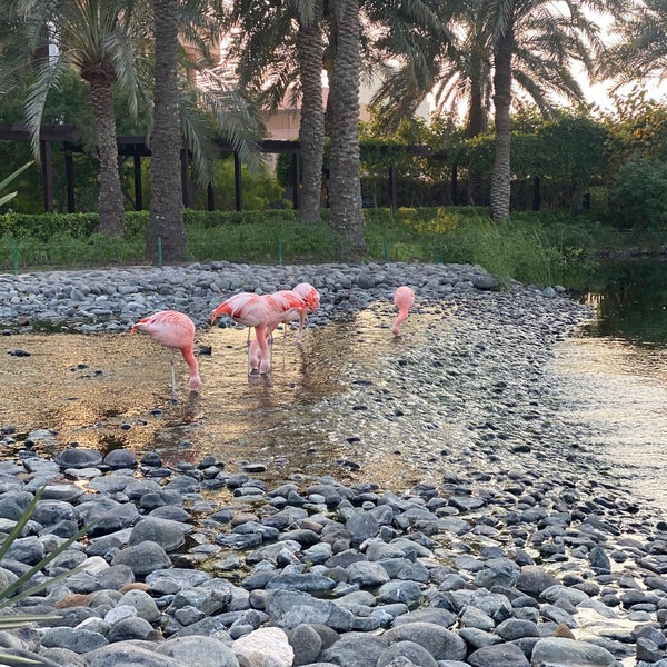 Bahrain Seef Ritz The Ritz-Carlton Bahrain - Al Seef District - Block 428 Road 2803