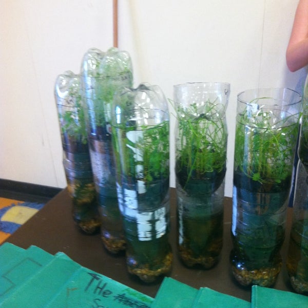 Champions at Canyon Creek Elementary Daycare