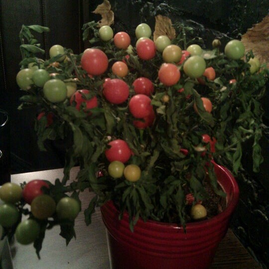 В горшочках на столах растут не помидорки, но на вкус ничего