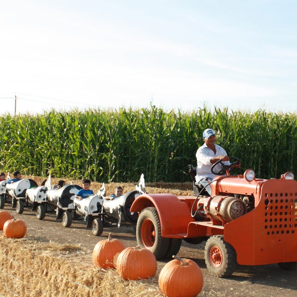 Foto tirada no(a) Fantozzi Farms Corn Maze and Pumpkin Patch por Fantozzi Farms Corn Maze and Pumpkin Patch em 7/27/2013