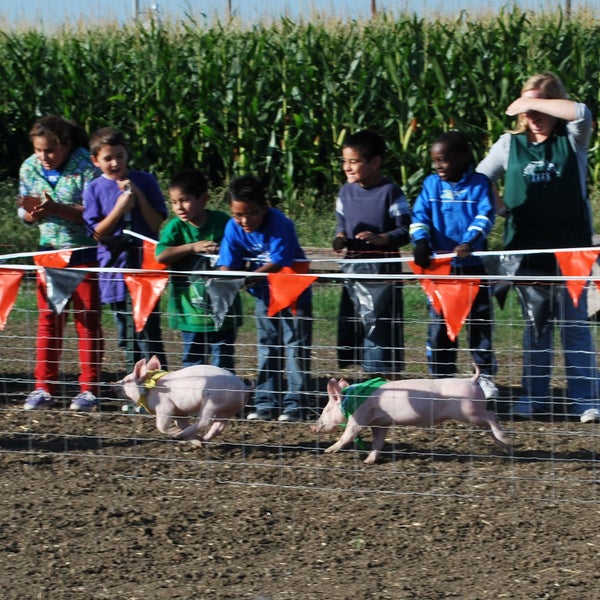 Снимок сделан в Fantozzi Farms Corn Maze and Pumpkin Patch пользователем Fantozzi Farms Corn Maze and Pumpkin Patch 7/27/2013