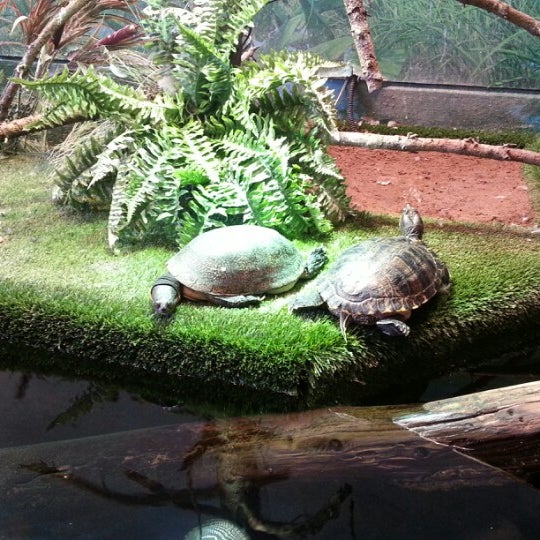 Great Lakes Aquarium Downtown Duluth 353 Harbor Dr