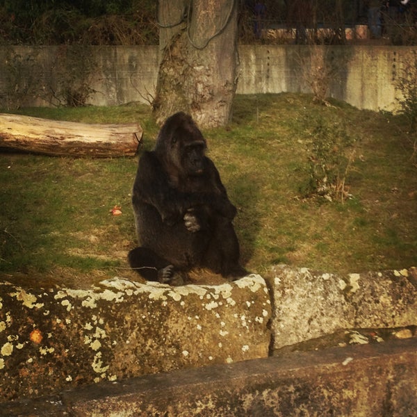 Das Foto wurde bei Zoo Berlin von Aga am 4/14/2013 aufgenommen