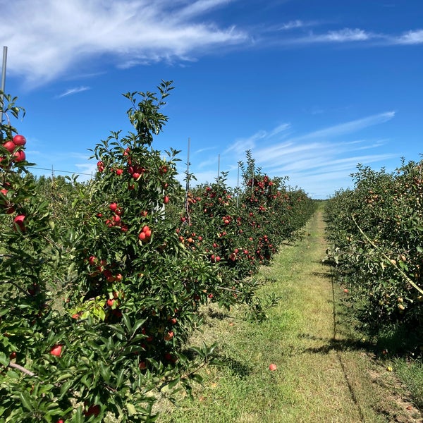 Windy Acres Farm 5 tips from 467 visitors