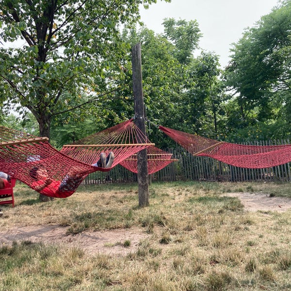 Governors Island Hammock Grove Governors Island 5 tips from 800