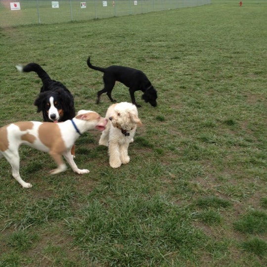 Rootie's Run Dog Park