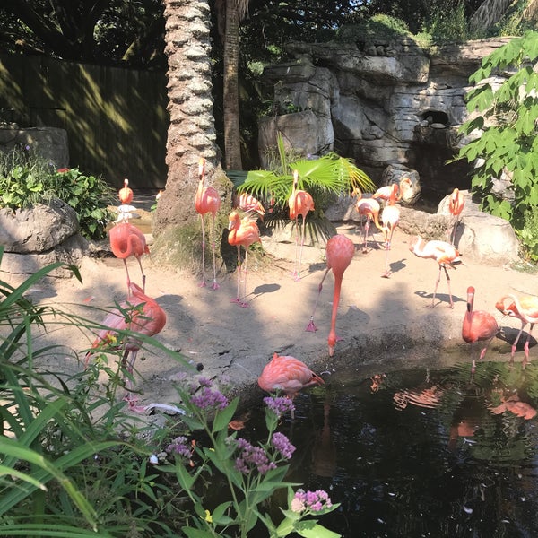 Photo taken at Audubon Zoo by Duncan W. on 7/26/2018