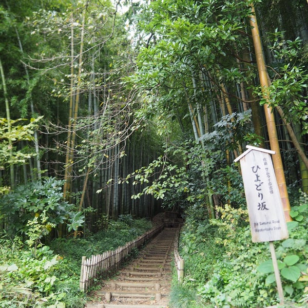 ひよどり坂 佐倉市 小路町 ひよどり坂 佐倉市 小路町
