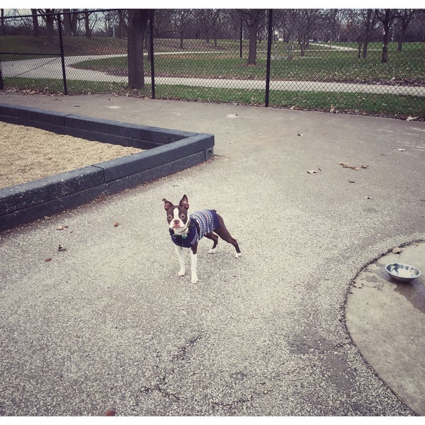 River Dog Park Dog Park in Chicago