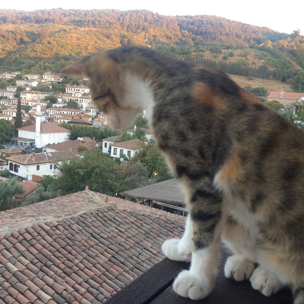 Foto diambil di Zeytinli Konak oleh Ozlem C. pada 9/15/2016