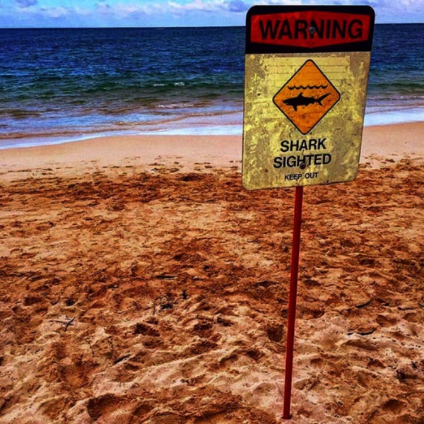 Photos at Kailua Beach (Flagpoles) kailua 5 tips