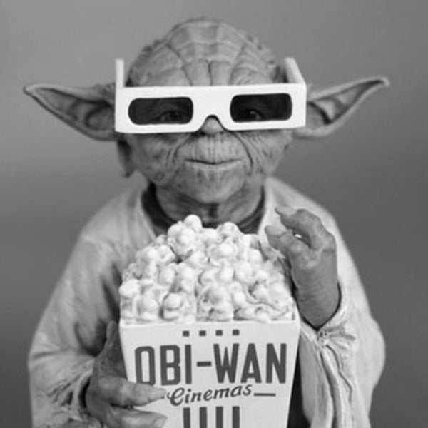 ФОТОГРАФИИ ГАСУ