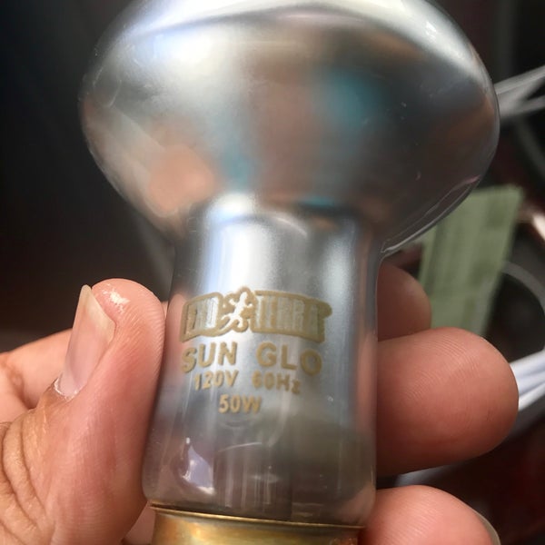 Petco Pet Supplies Store in Kissimmee