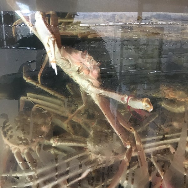Photos A 魚料理 民宿 やまじゅう Pension De Famille Photos A 魚料理 民宿 やまじゅう Pension De Famille