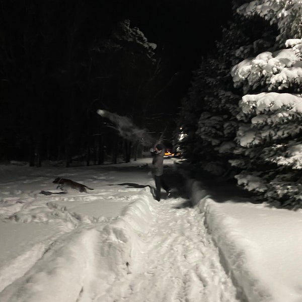 Allendale Township Library Library in Allendale