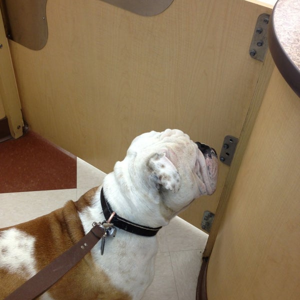 PetSmart 1 tip from 458 visitors