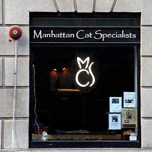Photo taken at Manhattan Cat Specialists by Manhattan Cat Specialists on 8/18/2014