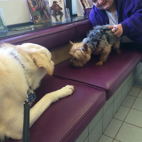 Photo taken at Eastern Animal Hospital by Chris T. on 4/26/2014
