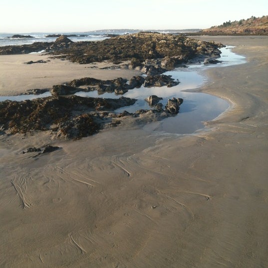 Higgins Beach 18 tips from 771 visitors