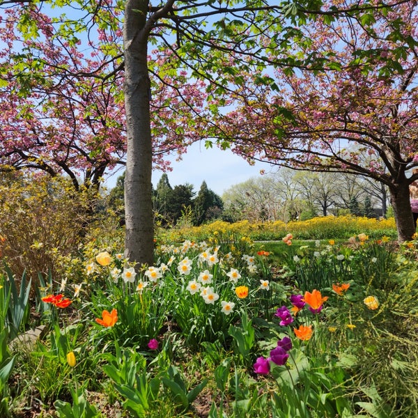 4/14/2023 tarihinde Anna H.ziyaretçi tarafından Queens Botanical Garden'de çekilen fotoğraf