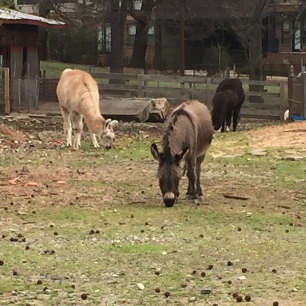 3/12/2016にRebecca M.がThe Goat Farm Arts Centerで撮った写真