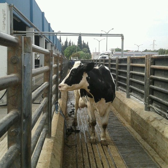 Pınar Entegre Et ve Un Fabrika