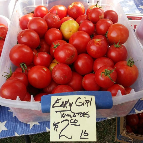 Wasatch Front Farmers Market at Wheeler Farm 4 tips from 175 visitors