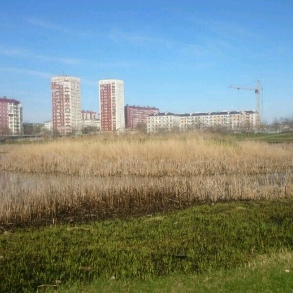 Калинин парк