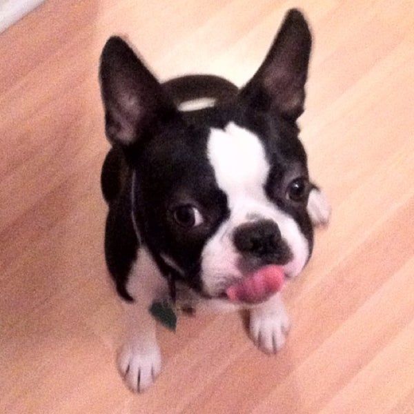 Photos at J.P. Licks Beacon Hill Ice Cream Shop in Beacon Hill