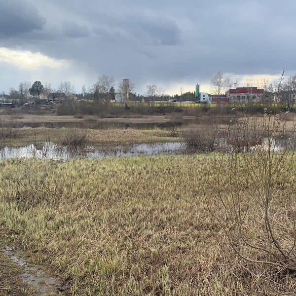 Пляж островок абакан