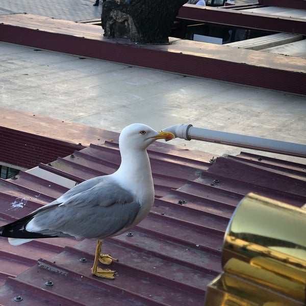 6/1/2020 tarihinde Sultanziyaretçi tarafından Mare Karaköy'de çekilen fotoğraf