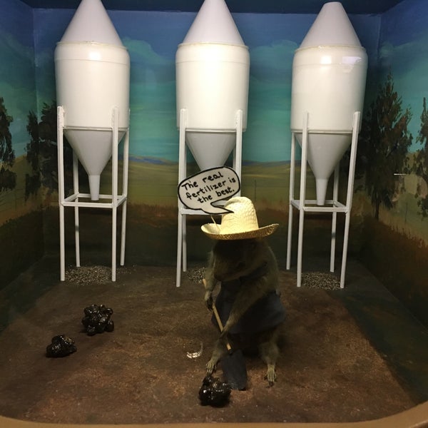 Photos At Torrington Gopher Hole Museum 1st S