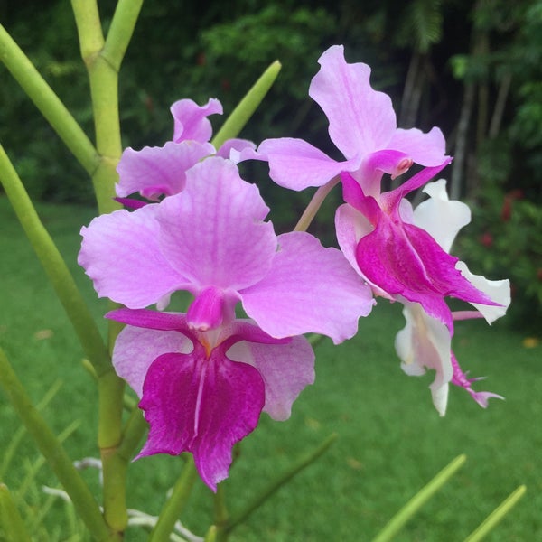 My Image 24